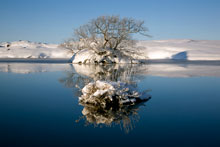 Óhappa tjörn eða Óhappið