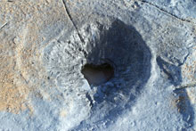 Leirhver á Hveraröndinni